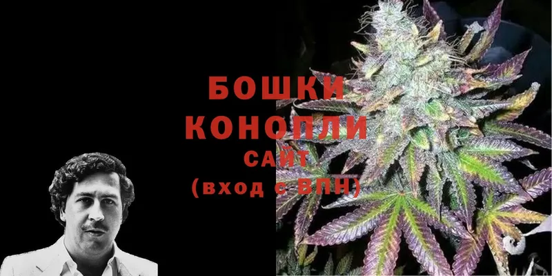 Конопля THC 21%  Заполярный 